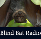 Blind Bat Radio