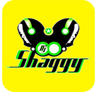Dj Shaggy Venezuela