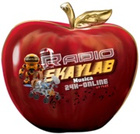 SKAYLAB