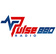 Pulse 880 Radio